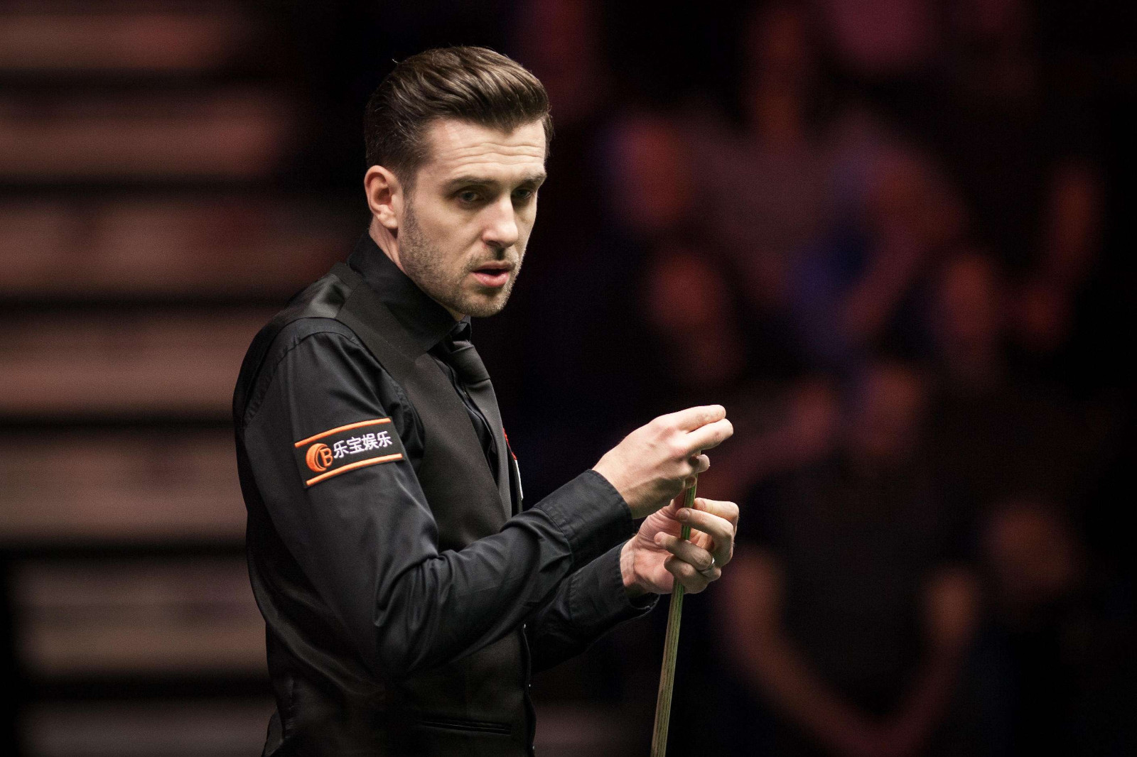 并希望能以 并希望能以