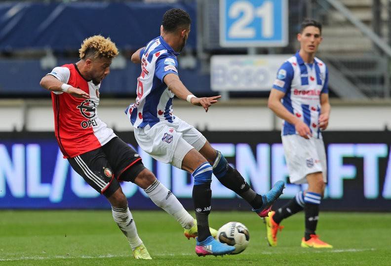 体的双重质 体的双重质