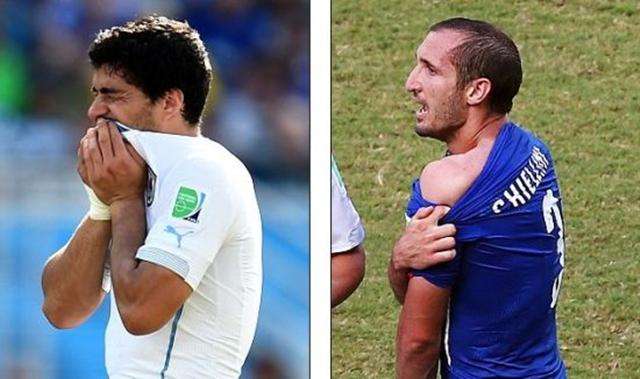 法布里齐奥 法布里齐奥