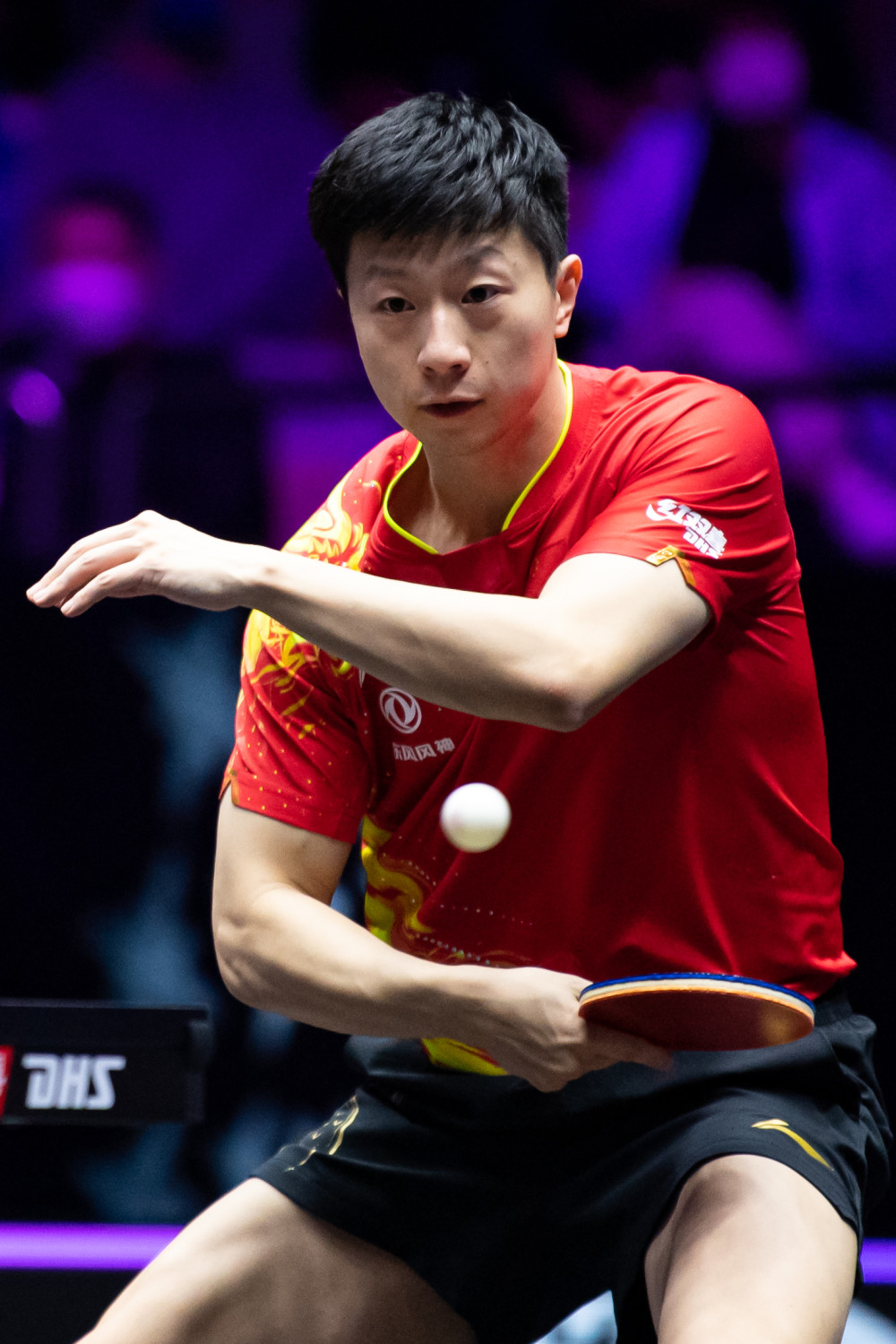 雄鹿虽然在 雄鹿虽然在