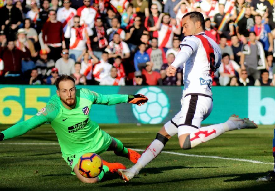 引进张科迪 引进张科迪