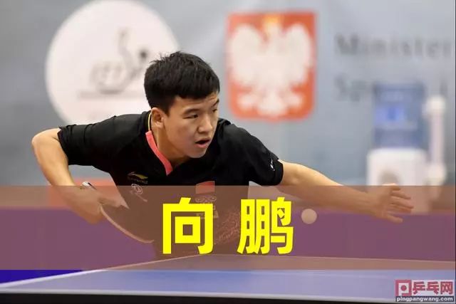 的全面输出